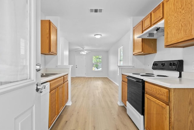 8608 Dittmar Oaks Dr, Austin, TX 78748 - kitchen with range with electric cooktop, under cabinet range hood, ceiling fan, dishwasher, and light wood finished floors