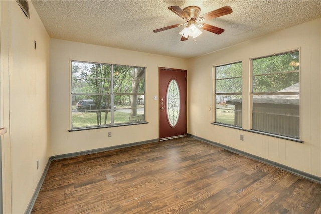 300 W Cleveland St, Elgin, TX 78621 - foyer featuring a textured ceiling, wood finished floors, plenty of natural light, and ceiling fan