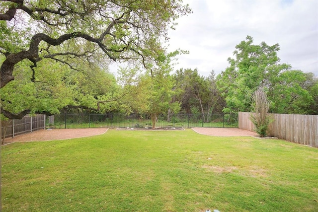 11721 Quintana Cv, Austin, TX 78739 - view of yard