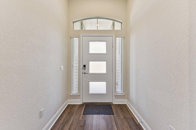 entrance foyer featuring baseboards, dark wood-style flooring, and a textured wall