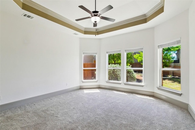 18705 Alonso Pl, Austin, TX 78738 - unfurnished room featuring ornamental molding, carpet, ceiling fan, and a raised ceiling