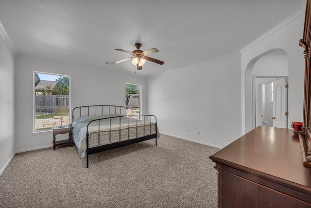 1107 Shiloh St, Cedar Park, TX 78613 - bedroom with light carpet, multiple windows, ornamental molding, and baseboards