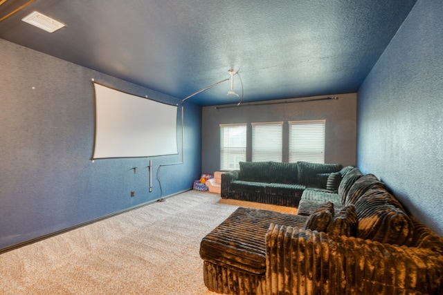 5917 Moriano Cv, Round Rock, TX 78665 - cinema featuring carpet and a textured wall