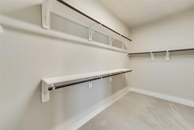508 Saturnia Cv, Georgetown, TX 78628 - walk in closet with light carpet
