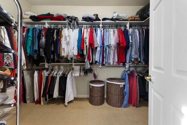 108 Chuckwagon Trl, Georgetown, TX 78633 - walk in closet with carpet floors