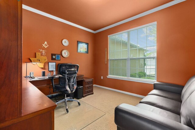 108 Chuckwagon Trl, Georgetown, TX 78633 - carpeted office space featuring crown molding