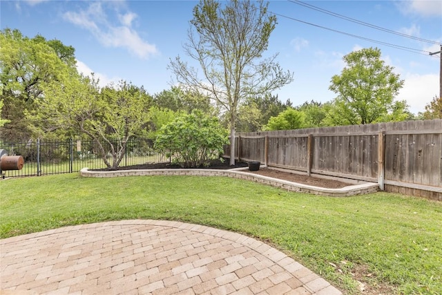 view of yard featuring a patio