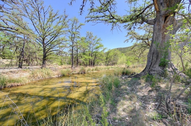 view of nature