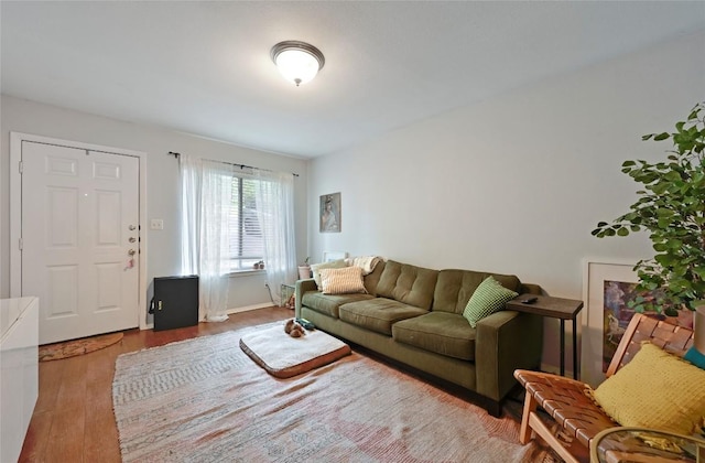 living room with baseboards and wood finished floors