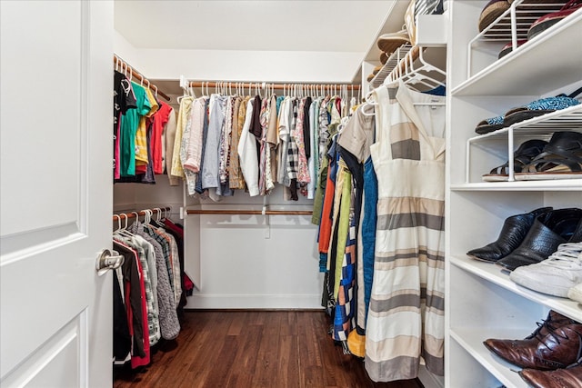 1008 W Monroe St W, Austin, TX 78704 - spacious closet with wood finished floors