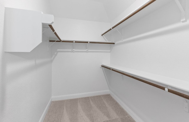 spacious closet featuring light carpet
