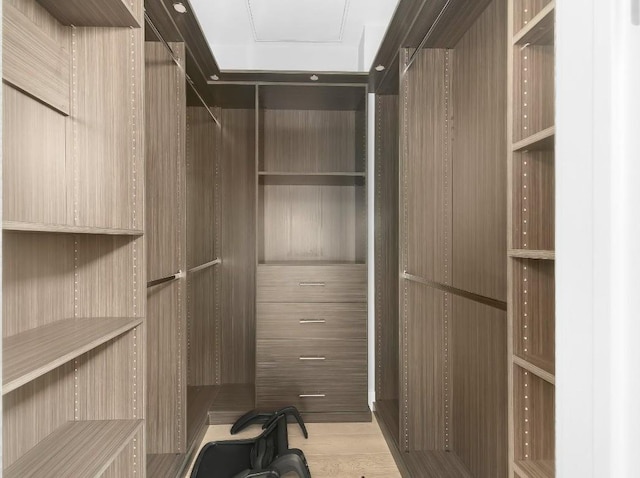 507 Sabine St Unit 505, Austin, TX 78701 - view of spacious closet