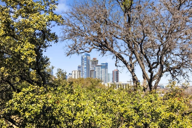 1018 Harwood Pl, Austin, TX 78704 - view of home's community with a skyline view