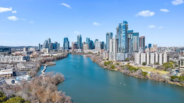 1018 Harwood Pl, Austin, TX 78704 - drone / aerial view of skyline and a large body of water
