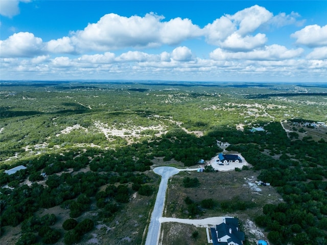 394 Vail River Rd, Dripping Springs, TX 78620 - photo 8