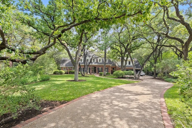 2601 Buckminister Ct, Austin, TX 78746 - cape cod-style house featuring a front lawn and driveway