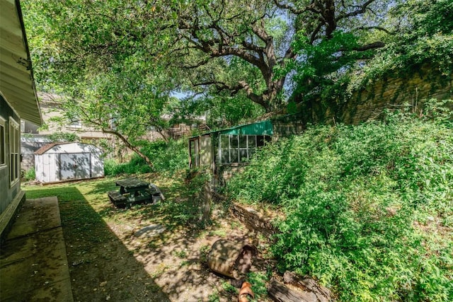 1010 Avondale Rd, Austin, TX 78704 - view of yard