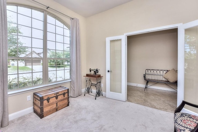1904 Cactus Mound Dr, Leander, TX 78641 - sitting room with french doors and carpet