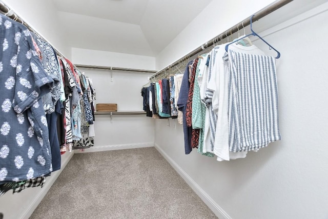 1904 Cactus Mound Dr, Leander, TX 78641 - walk in closet featuring carpet floors
