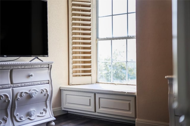 interior details featuring radiator heating unit