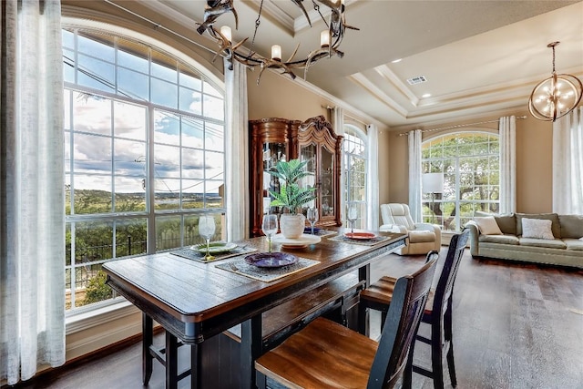 21735 Sierra Trl, Lago Vista, TX 78645 - dining space featuring a chandelier, ornamental molding, wood finished floors, and a tray ceiling