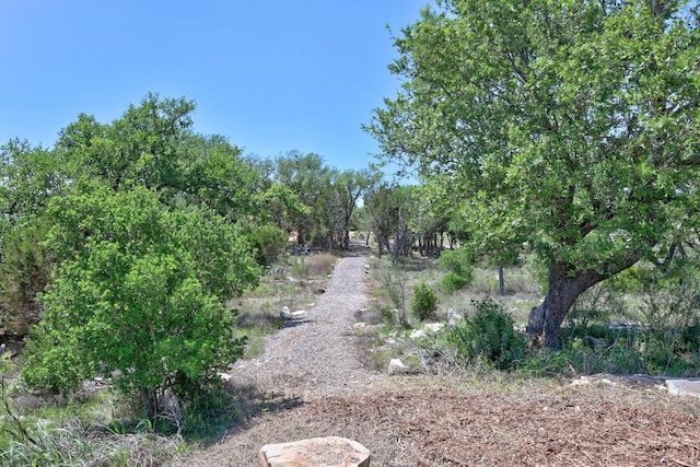 4010 County Road 404, Spicewood, TX 78669 - view of yard