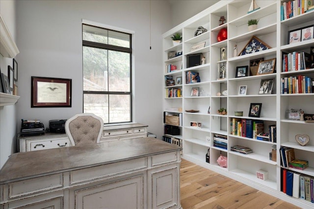 821 S Angel Light Dr, Spicewood, TX 78669 - office area with light wood-style flooring