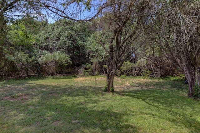 view of yard with a forest view