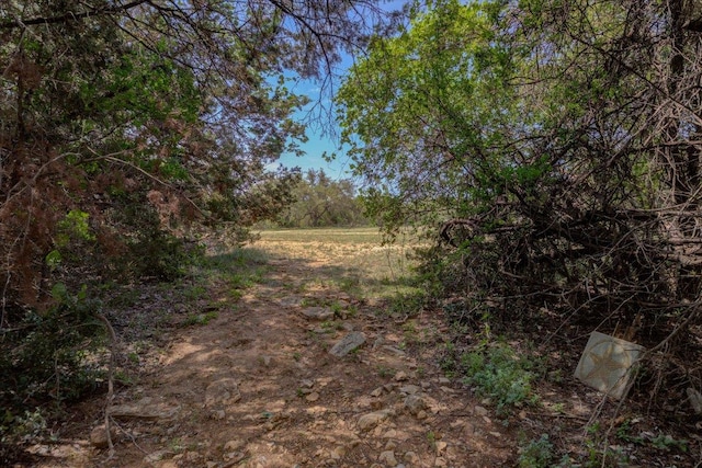 view of nature
