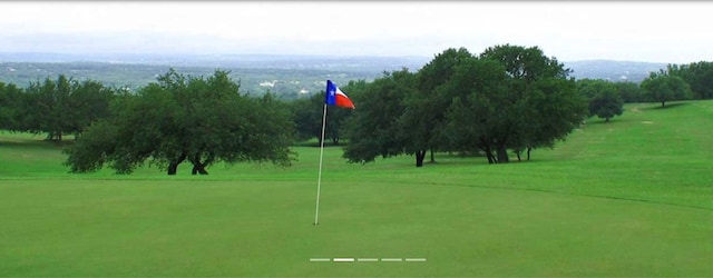 22230 Stow Cir, Spicewood, TX 78669 - surrounding community with a putting green