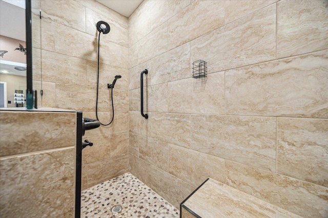 59 Fairview Dr, Round Rock, TX 78665 - bathroom with a tile shower