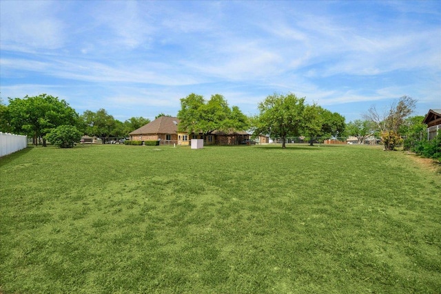 59 Fairview Dr, Round Rock, TX 78665 - view of yard