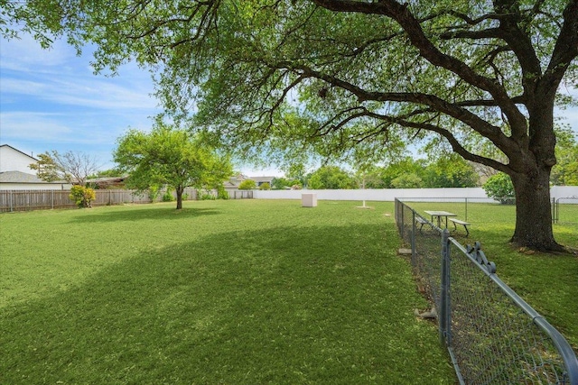 59 Fairview Dr, Round Rock, TX 78665 - view of yard
