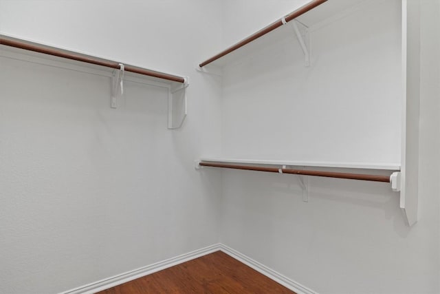 2529 Mirasol Loop, Round Rock, TX 78681 - walk in closet featuring dark wood-style flooring