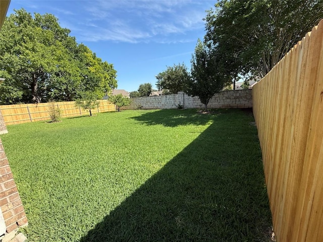 2529 Mirasol Loop, Round Rock, TX 78681 - view of yard
