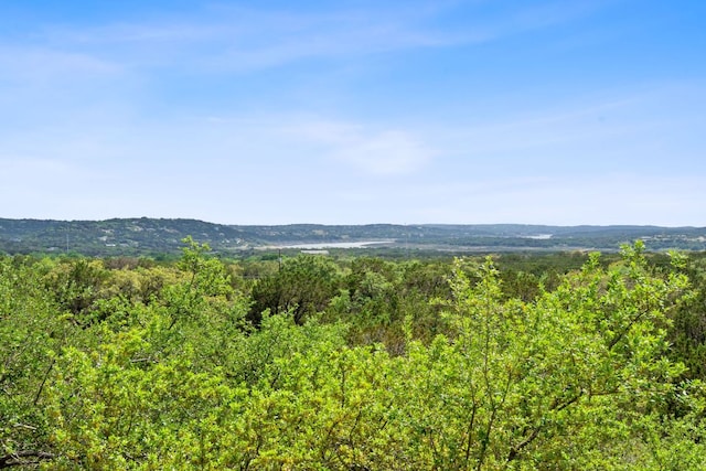 21726 Sierra Trl, Lago Vista, TX 78645 - mountain view featuring a heavily wooded area
