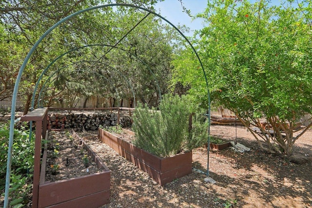 view of yard with a vegetable garden