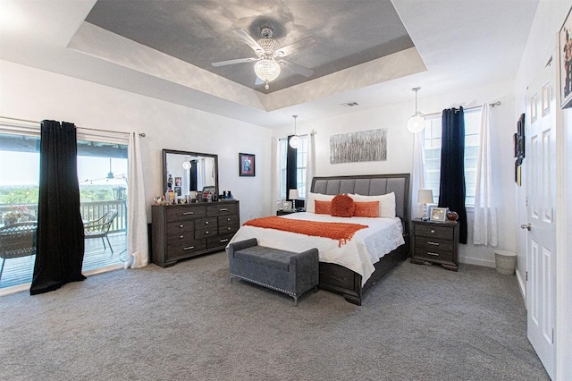 171 Milagros Dr, Cedar Creek, TX 78612 - carpeted bedroom with access to outside, a tray ceiling, multiple windows, and a ceiling fan