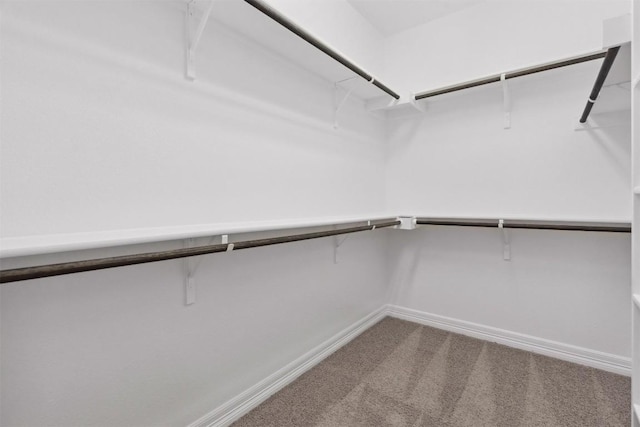 111 Antonio Way Unit 5A, Austin, TX 78734 - walk in closet featuring carpet floors