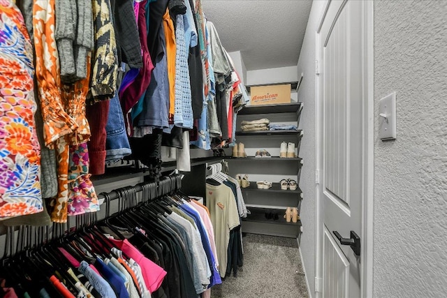 walk in closet featuring carpet flooring