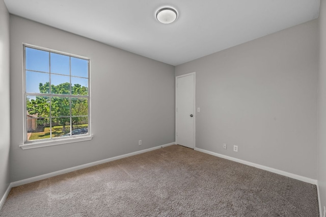 105 Twilight Way, Hutto, TX 78634 - photo 22