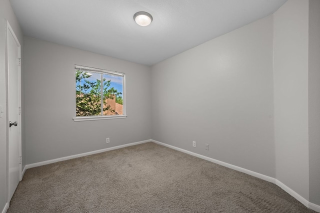 105 Twilight Way, Hutto, TX 78634 - photo 25