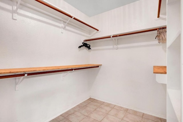 1415 Quicksilver Cir, Round Rock, TX 78665 - view of spacious closet