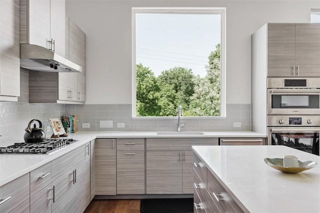 5368 Agatha Cir, Austin, TX 78724 - kitchen with appliances with stainless steel finishes, a sink, light countertops, and tasteful backsplash