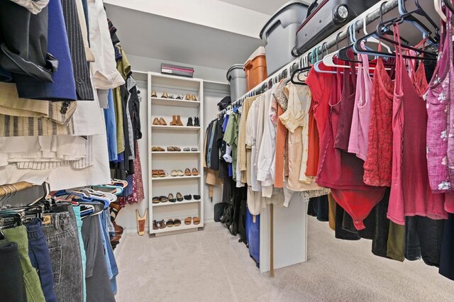 3225 Eisenhower Ave, Lago Vista, TX 78645 - spacious closet featuring carpet