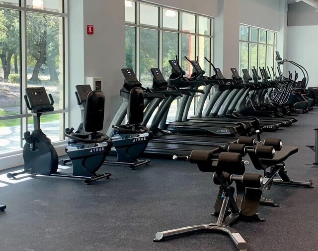 3225 Eisenhower Ave, Lago Vista, TX 78645 - view of workout area