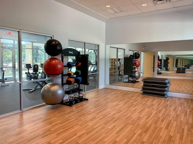 3225 Eisenhower Ave, Lago Vista, TX 78645 - workout area featuring wood finished floors, a towering ceiling, a paneled ceiling, and baseboards