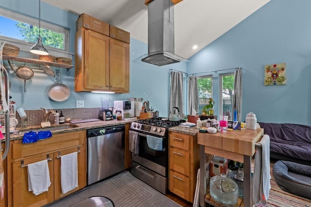 504 E 38th 1/2 St, Austin, TX 78751 - kitchen featuring appliances with stainless steel finishes, island range hood, healthy amount of natural light, a peninsula, and high vaulted ceiling