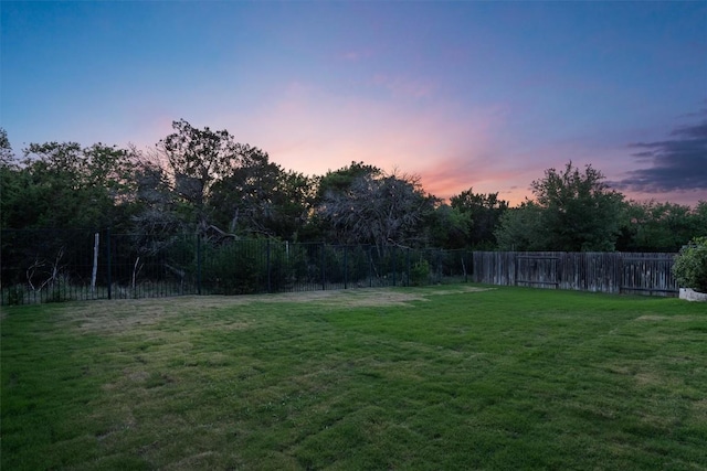 3912 Logan Ridge Dr, Cedar Park, TX 78613 - view of yard with fence
