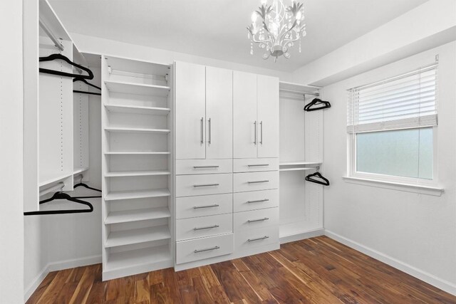 walk in closet featuring dark wood-style floors and a chandelier